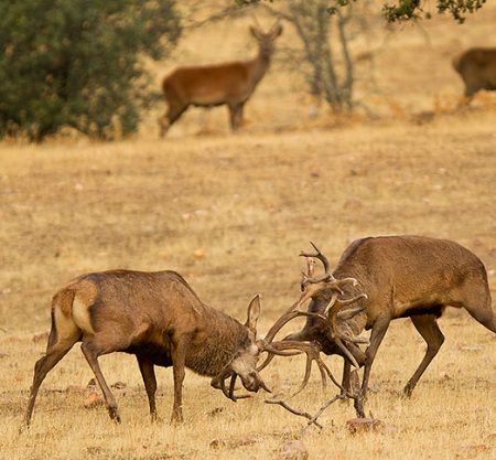 Rutas, tours y fotografía