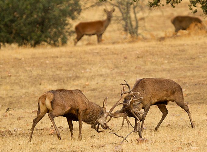 Rutas, tours y fotografía