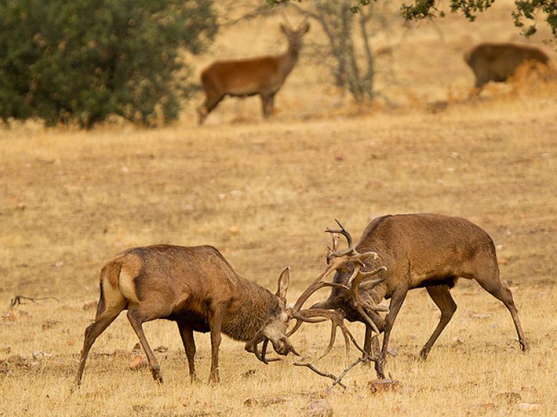 Rutas, tours y fotografía