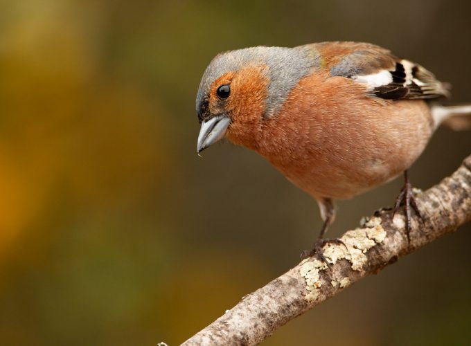Rutas, tours y fotografía