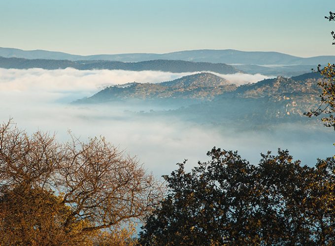 Rutas, tours y fotografía