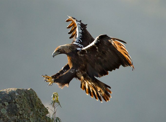 Rutas, tours y fotografía