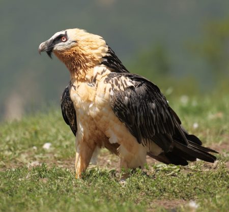 Rutas, tours y fotografía