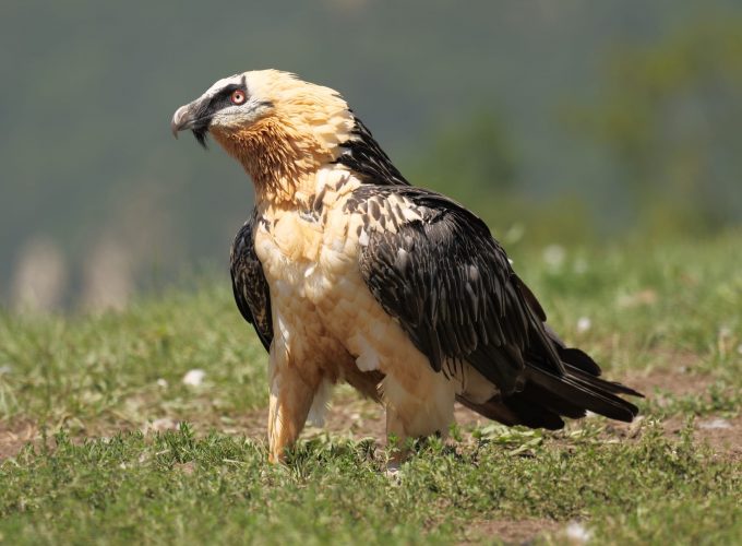 Rutas, tours y fotografía