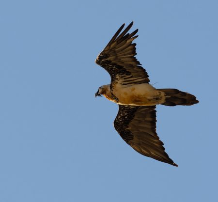 Rutas, tours y fotografía