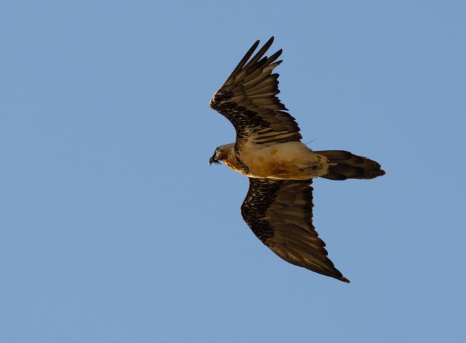 Rutas, tours y fotografía
