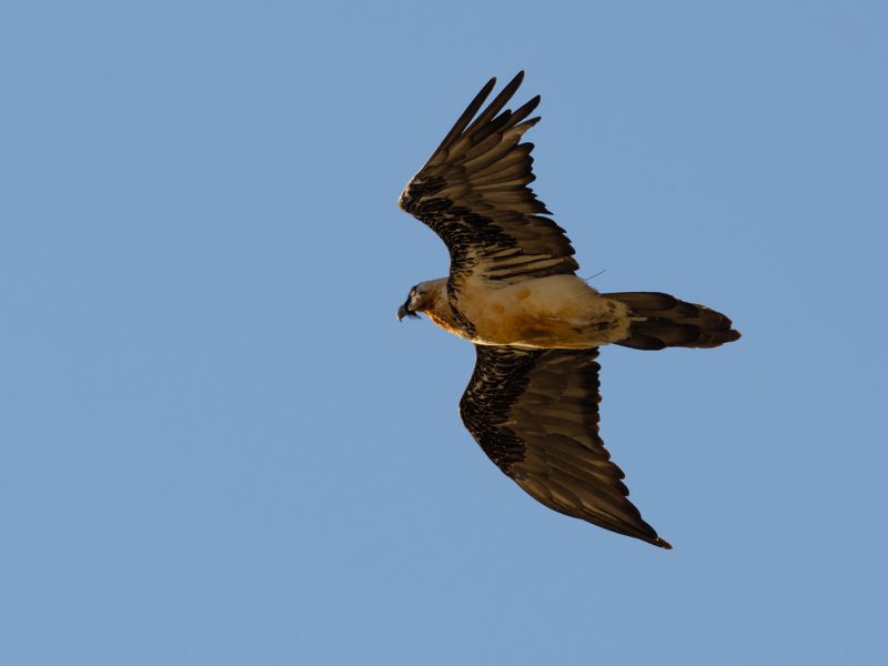 Rutas, tours y fotografía