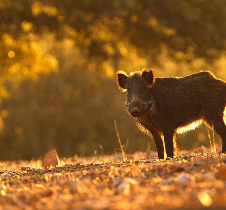 Rutas, tours y fotografía