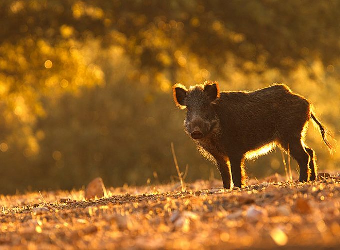 Rutas, tours y fotografía