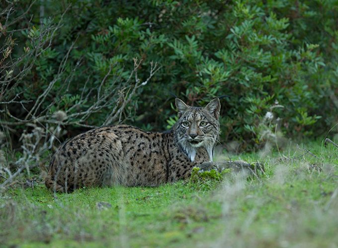 Rutas, tours y fotografía