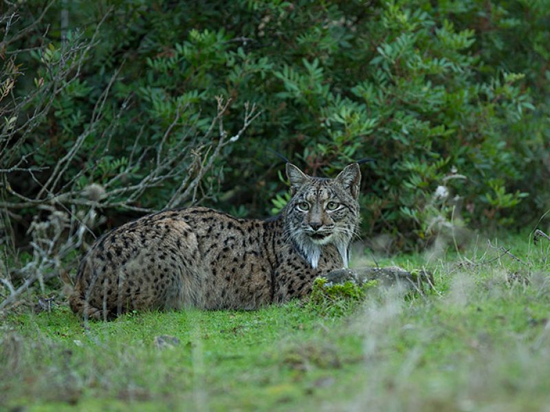 Rutas, tours y fotografía