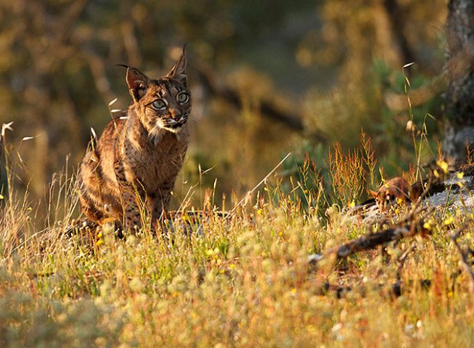 Rutas, tours y fotografía