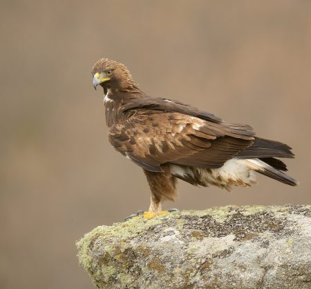 Rutas, tours y fotografía