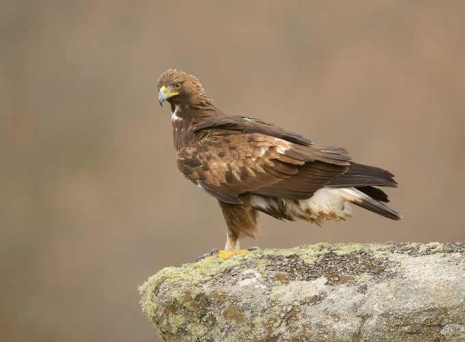 Rutas, tours y fotografía