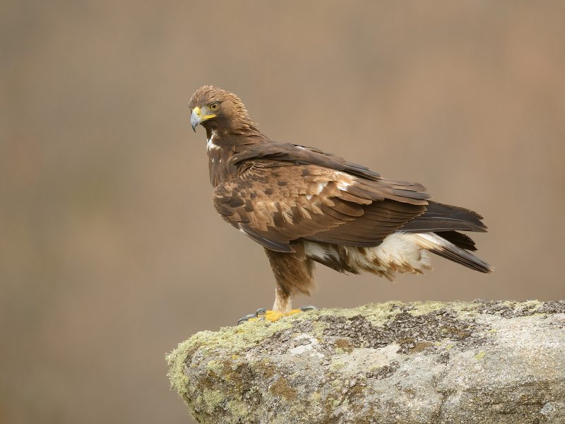 Rutas, tours y fotografía