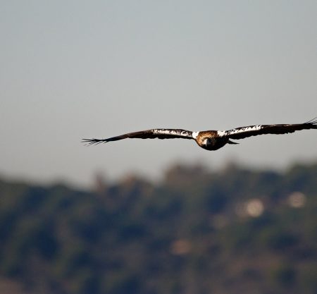 Rutas, tours y fotografía