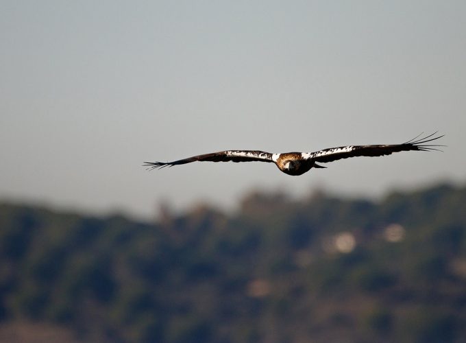 Rutas, tours y fotografía