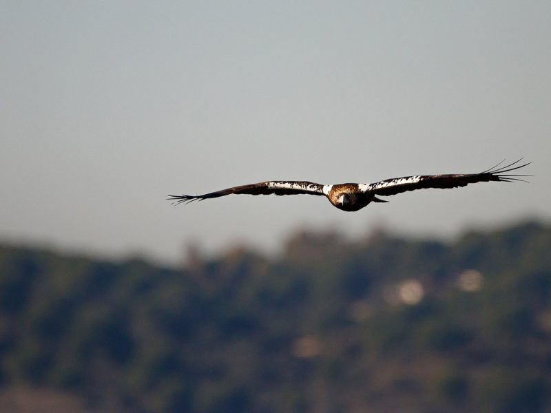 Rutas, tours y fotografía