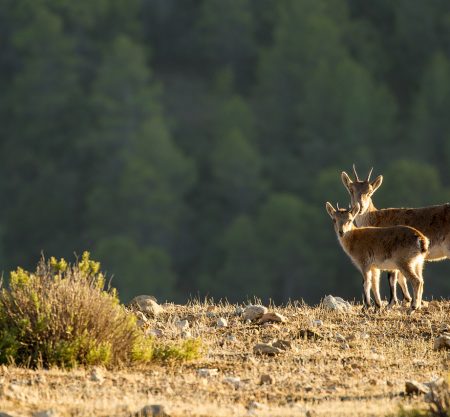 Rutas, tours y fotografía