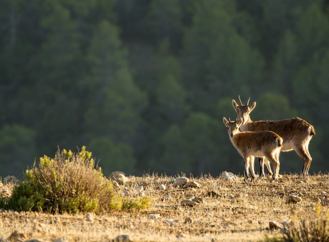 Rutas, tours y fotografía