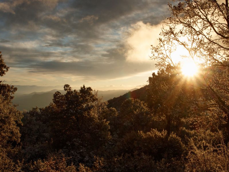 Rutas, tours y fotografía