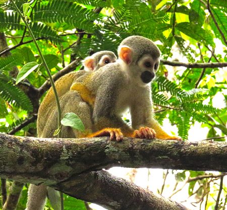 Rutas, tours y fotografía