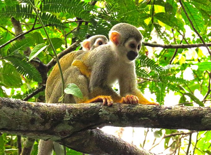 Rutas, tours y fotografía