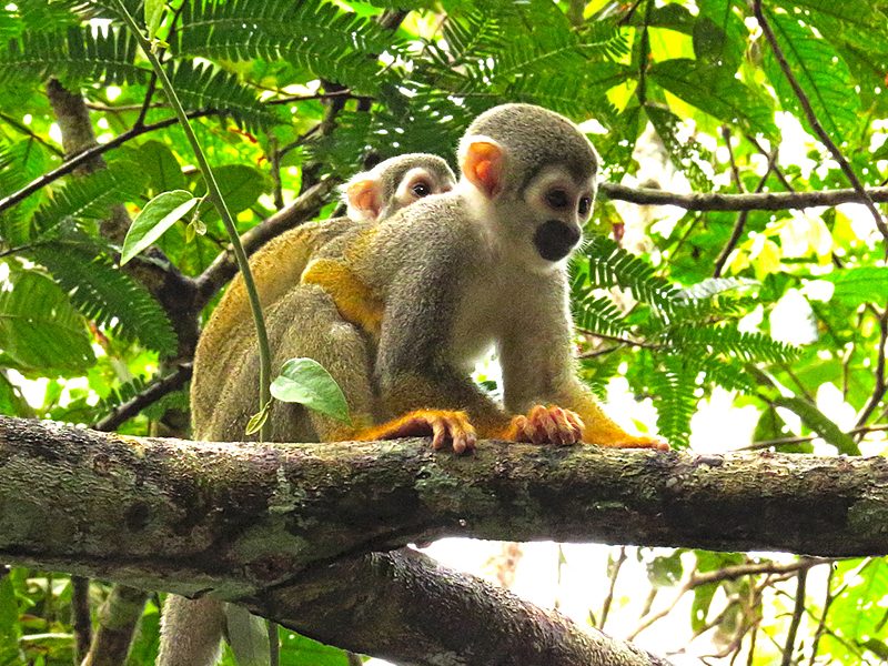 Rutas, tours y fotografía
